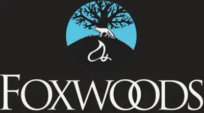 Online casino Foxwoodsonline